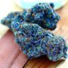Buy Blue Dream Cannabis